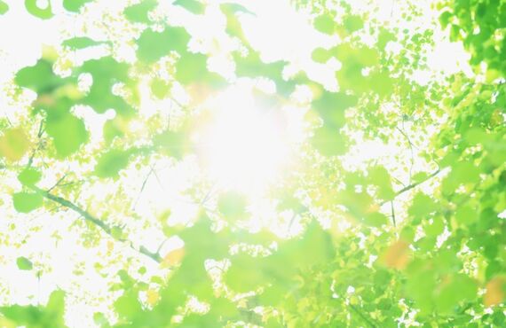 外壁塗装・修理はアップスタートにお任せください！